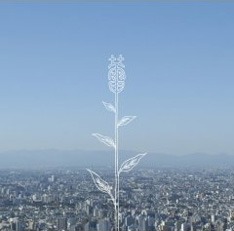 シングル「蕾」が現在5日連続でオリコンデイリーランキング1位を獲得。文字どおりの「トップランナー」だ。
