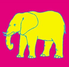 デビュー12年目にして初となるフルアルバム「15 ELEPHANTS」。今回のライブでは、この1枚に収録された新曲が堪能できるはず。