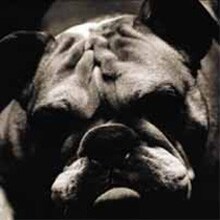 チャコフィルが今年1月にリリースしたアルバム「Everything you know is wrong」。