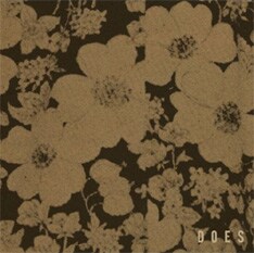 写真は3月21日に発売されたばかりのDOES最新シングル「三月」。TOKYO No.1 SOUL SETの川辺ヒロシによる「ダンス・イン・ザ・ムーンライト」のダビーなダンスリミックスを収録。