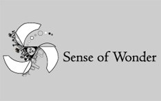 山中湖シアターひびきは昨年ジャムバンド系フェス「TRUE PEOPLE'S CELEBRATION」の開催地となった場所。富士山に沈む夕日を見ることができる絶景ポイントだ。