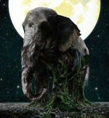 今年2月にアルバム「ASCENSION」(写真)をリリースし、早くも年末の新作アルバムに向けて動き出したMISIA。古巣のBMG JAPANで、ますます活発な活動に期待したい。