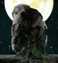 今年2月にアルバム「ASCENSION」(写真)をリリースし、早くも年末の新作アルバムに向けて動き出したMISIA。古巣のBMG JAPANで、ますます活発な活動に期待したい。