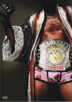 昨年12月に代々木競技場第一体育館で行われたツアーファイナルの模様を収めたライブDVD「LUV-XURY」。新曲「E. YO. NE!!」はシングルリリースに先がけてこのDVDで聴くことができる。