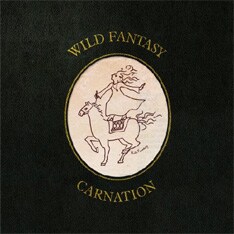 写真は昨年7月にリリースされた最新アルバム「WILD FANTASY」。ツアー決定にともなう新曲の発表にも期待が高まる。