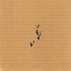 写真は2006年11月に発表された最新作「清水君からの手紙」。ちなみに彼は昨年、ミニアルバムを含めて3枚のアルバムを発表している。