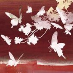 ニューアルバム「sakura swirl」はUS盤のみで8月7日から流通予定。