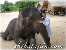 オフィシャルサイトのトップには現在、期間限定で象との2ショット写真が掲載されている。