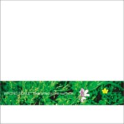 [WRONG SCALE] 待望のアルバム＆レコ発ツアー発表