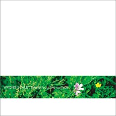 昨年のミニアルバム「fate effects the surface」（写真）リリース後、怒涛のライブを繰り広げてきた彼ら。持ち味である疾走感と美しいメロディに、ますます磨きをかけている。