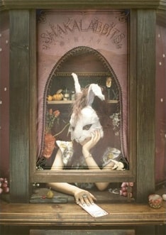 写真は8月22日にリリースされた13曲入りビデオクリップ集「神ノ街シアター」。オフィシャルサイトでは現在ダイジェストムービーの無料配信が行なわれている。