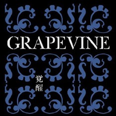 バインは9月19日にデビュー10周年記念盤「覚醒～10th Anniversary Package～」をリリース。バインとはまた違った魅力を持つFTK&Kのライブは必見だ。