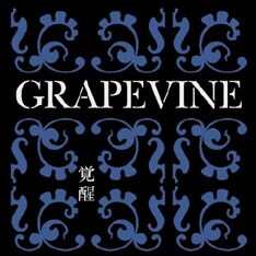 バインは9月19日にデビュー10周年記念盤「覚醒～10th Anniversary Package～」をリリース。バインとはまた違った魅力を持つFTK&Kのライブは必見だ。
