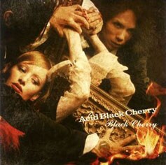 夏にはジェラートメーカーと異色のコラボを展開したAcid Black Cherry。期間限定で発売されたジェラートには、もちろんのこと"ブラックチェリー"が練り込まれていた（写真は最新シングル「Black Cherry」）。
