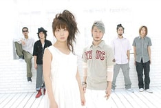 来年1月からは「Spice Live Circuit 008」が再び開催される。All Japan Goith、ホイフェスタと共演。