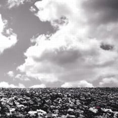 「花の名」が主題歌として起用された映画「ALWAYS 続・三丁目の夕日」は11月3日公開スタート。