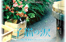 新曲についてRie fuは「いつかは幸せな家庭を持ちたいという憧れの気持ちを込めた一曲になっています。映画の中の家族の絆みたいなテーマにも通じるものがあります」とコメントしている。
