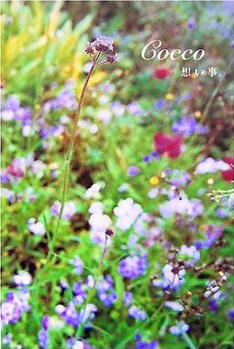 1年間に及んだ毎日新聞での連載を単行本化した「想い事。」。胸に響くような彼女の言葉と写真は、音楽ファンを超えて大きな支持を集めている。