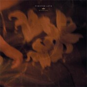 [清春] 連続リリースの最後を飾るアルバム