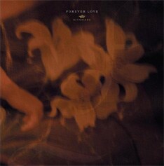 写真はアルバム「FOREVER LOVE」のDVD付き初回限定盤。4ヶ月続いた連続リリースはこの作品で最後となる。