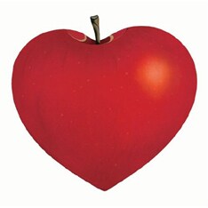 クリスマスシーズンにぴったりのコンピレーション盤。プレゼントにも最適だ。