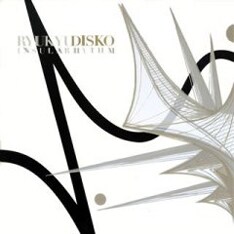 今年は待望のメジャーデビューを果たし、シングル3枚とアルバム2枚をリリースしたRYUKYUDISKO。来年はさらなる飛躍が期待される（写真は最新アルバム「INSULARHYTHM 」）。