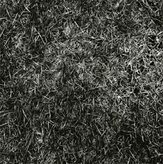 写真は2008年2月1日にリリースされる「land of music "the Rising"」。今年1月に発表されたアルバム「land of music」の制作過程およびツアーに肉迫した2DVD＋2CD＋1BOOKという豪華ドキュメント作品。