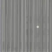 SHAMEのドラマー、ANIKIこと前田一知が脱退