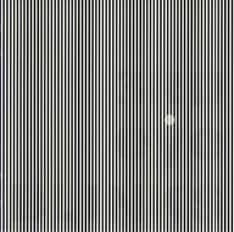 写真は活動再開後初のアルバムとなった8月リリースの「3RD eye BLINKS」。