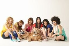 ニューシングル「ゆらり桜空・・・」は、1stアルバム「You Go!～We are MARIA～」以来8ヶ月ぶりの新曲となる。