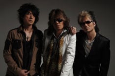 大晦日にはShibuya O-EASTでバンド史上初のカウントダウンライブを行ったZIGGY。2008年も彼らの活躍から目が離せない。