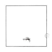 約2ヶ月にわたりプライベートスタジオでレコーディングされた「Syrup16g」。リリースまであと2週間だ。