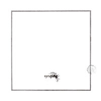 チケットを手に入れることができなかったファンにとって、これがラストチャンス。まずはイープラスプレオーダーに早めに申し込んでおこう（写真は1月30日発売の「Syrup16g」）。