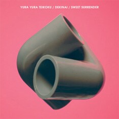 写真は「空洞です」収録曲のセルフリミックスを収録した12inchアナログ「できない/あえて抵抗しない」。昨年末にリリースされすでに入手難となっている。