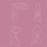 PARAは山本精一と故CHINAにより2001年に結成。現在は山本精一(Gu)、ヨシタケEXPE（Space Gu）、千住宗臣（dr,per）、西滝太（Synth Ba,key）、IEGUCHI（synth ,key）の5人編成で活動を続けている。（写真は2006年リリースの「X-GAME」）