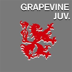 ニューシングルのタイトルや収録内容など、詳細については後日発表（写真は本日3月5日発売のシングル「ジュブナイル」）