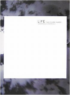 写真は展覧会のドキュメントとして昨年末に出版された書籍。インスタレーションの膨大な映像を中心に、2人の対談や、浅田彰の寄稿などが収録される。