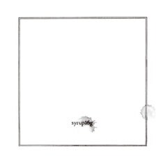 写真はラストアルバム「Syrup16g」。武道館で販売されたグッズの通信販売もスタートしている。