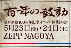 星野楽器のオフィシャルサイトでは、各アーティストの使用モデルやセッティングを公開中。