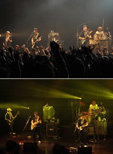 人気の楽曲が多数披露されたZepp Tokyoツアーファイナル。代表曲「fly」では、会場全体で大合唱が巻き起こった。