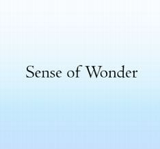 パワーアップして再び開催される「Sense of Wonder」。今後の追加発表にも期待したい。