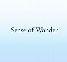 パワーアップして再び開催される「Sense of Wonder」。今後の追加発表にも期待したい。