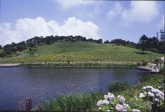 「自然と音楽」をテーマにしたこのイベントは、写真のような大自然の中でさまざまなアーティストのライブパフォーマンスを楽しむことができる。