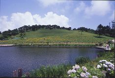 「自然と音楽」をテーマにしたこのイベントは、写真のような大自然の中でさまざまなアーティストのライブパフォーマンスを楽しむことができる。