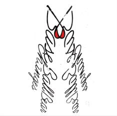 「ミュージックステーション」では、緊張の面持ちながらも光る演奏を見せた。