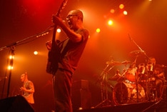 極東最前線コンピにZAZEN､fOUL､Deerhoofが追加 - 音楽ナタリー