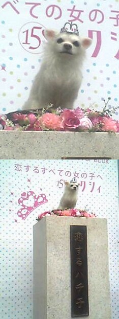 除幕式には大勢の人が訪れ、姿を現したハチ子の可愛らしい姿に歓声が上がった。