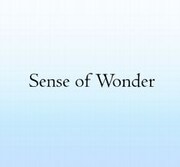 Sense of WonderにWEG､LITE､ツジコノリコら追加