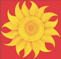 タオルミュージックファン待望の豪華コンピが誕生。