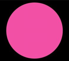 ジャケットは黒地にピンクの丸。